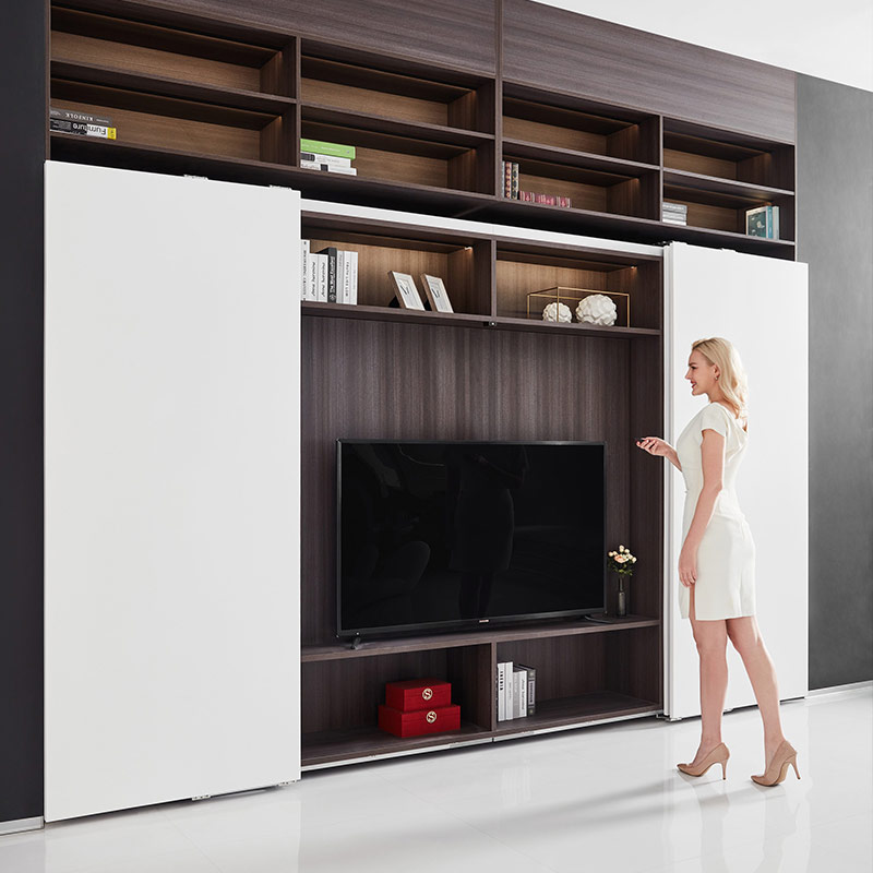 Remove Control Electric Inline Sliding Door System